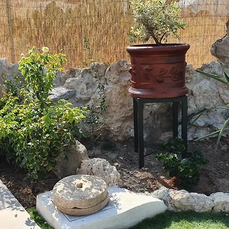 فيلة Yioukkas بافوس