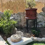 Villa Yioukkas Paphos